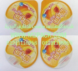 الغطاء المجسم (2)