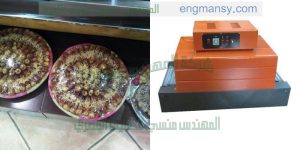 مكن تغليف المواد الغذائية